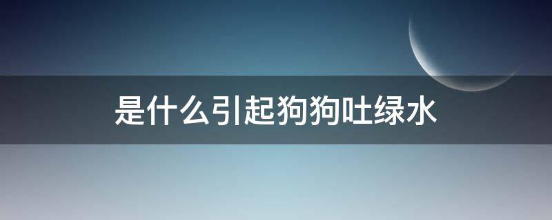 是什么引起狗狗吐绿水（狗吐绿水是怎么回事）