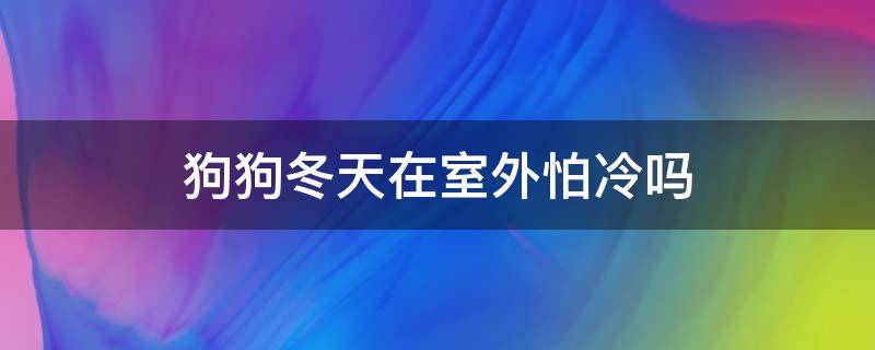 狗狗冬天在室外怕冷吗（狗狗冬天在户外冷不冷）