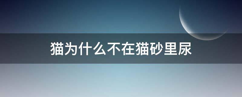 猫为什么不在猫砂里尿（猫为什么不到猫砂里撒尿）