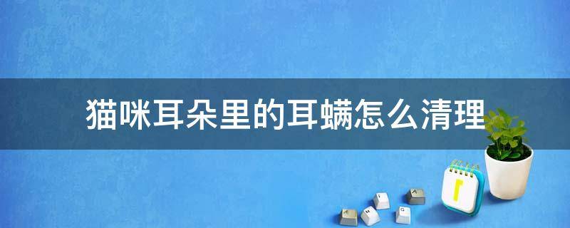 猫咪耳朵里的耳螨怎么清理 猫咪耳朵里的耳螨怎么清理去医院多少钱左右