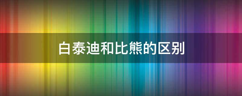 白泰迪和比熊的区别（白泰迪和比熊的区别图片对比）