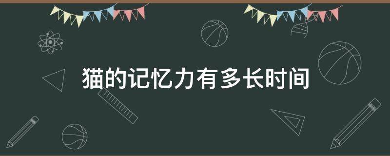 猫的记忆力有多长时间（猫的记忆力有多长时间科学一点）