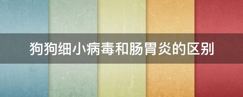 狗狗细小病毒和肠胃炎的区别 狗狗急性肠胃炎和细小的区别