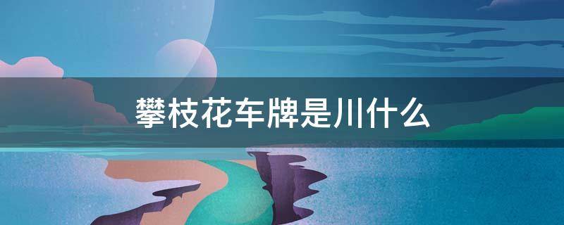 攀枝花车牌是川什么 攀枝花的车牌是川什么