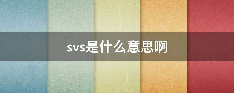 svs是什么意思啊 svsss是什么意思