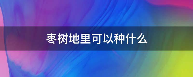 枣树地里可以种什么 现在种枣树怎么种