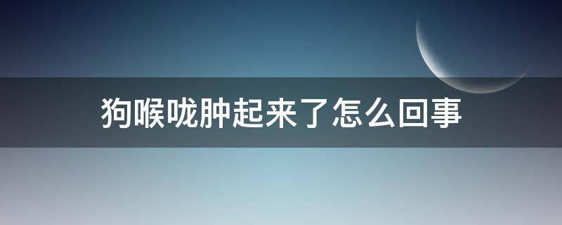 狗喉咙肿起来了怎么回事 狗狗喉咙红肿发炎