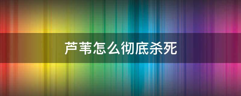 芦苇怎么彻底杀死 芦苇怎么灭除