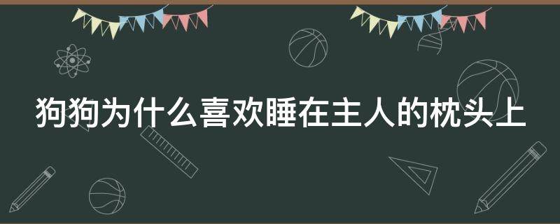 狗狗为什么喜欢睡在主人的枕头上 狗狗为什么喜欢睡主人床边