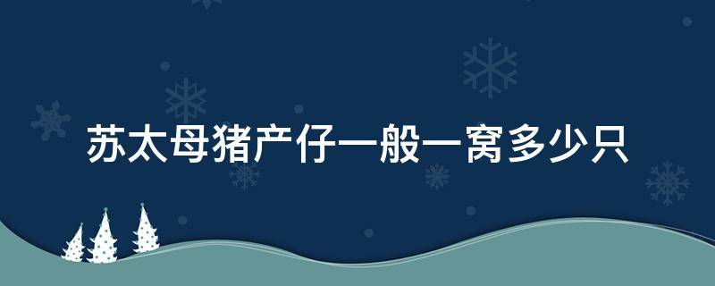 苏太母猪产仔一般一窝多少只 苏太母猪一年产几窝