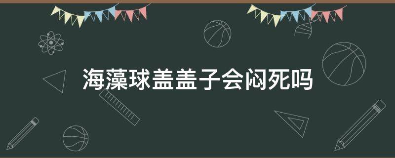 海藻球盖盖子会闷死吗 海藻球盖子要盖紧吗