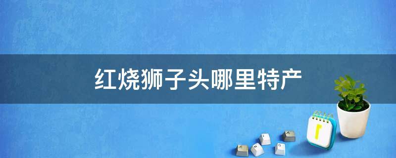 红烧狮子头哪里特产（红烧狮子头是哪里的最有名?）