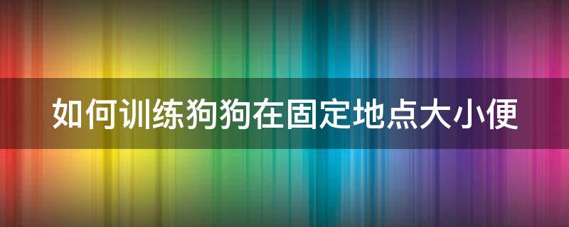 如何训练狗狗在固定地点大小便 如何训练狗狗在固定地点大小便方法