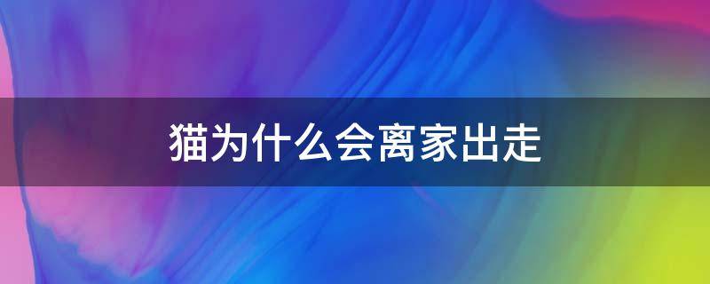 猫为什么会离家出走 猫为什么会离家出走一直不回来