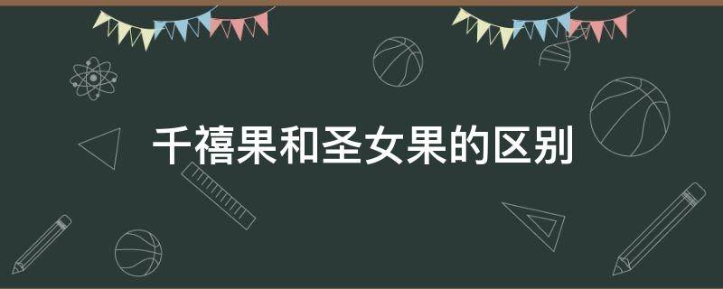 千禧果和圣女果的区别（西红柿千禧果和圣女果的区别）