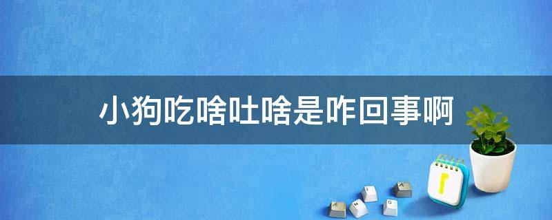 小狗吃啥吐啥是咋回事啊 小狗狗吃什么吐什么是什么原因