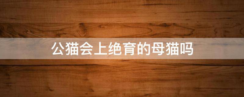 公猫会上绝育的母猫吗 没绝育的公猫会不会上绝育的母猫