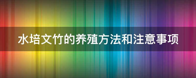 水培文竹的养殖方法和注意事项（水培文竹的养殖方法和注意事项有哪些）