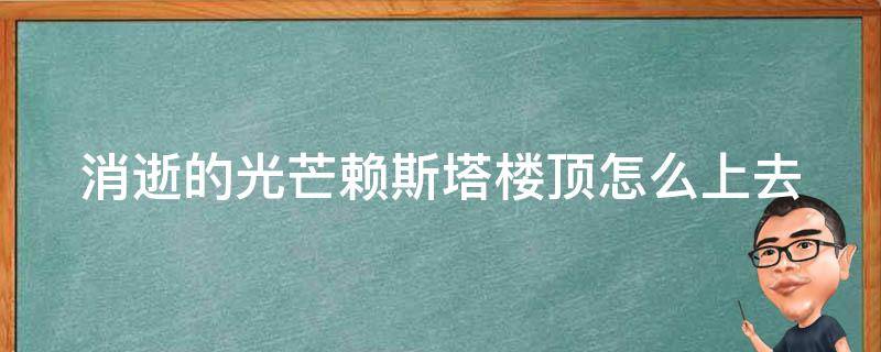 消逝的光芒赖斯塔楼顶怎么上去（消逝的光芒与赖斯协议第二座塔）