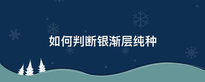 如何判断银渐层纯种 怎么判断纯种银渐层