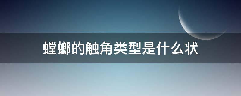 螳螂的触角类型是什么状（螳螂的触角类型是线状吗）