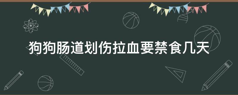 狗狗肠道划伤拉血要禁食几天（狗狗肠道划伤拉血要禁食几天,可以喝葡萄糖水吗）