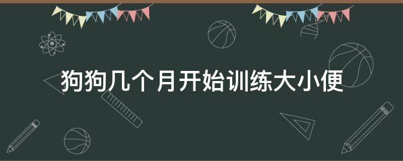 狗狗几个月开始训练大小便（幼犬几个月训练大小便）