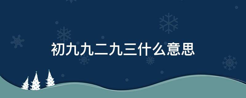 初九九二九三什么意思（易经中初九九二九三什么意思）