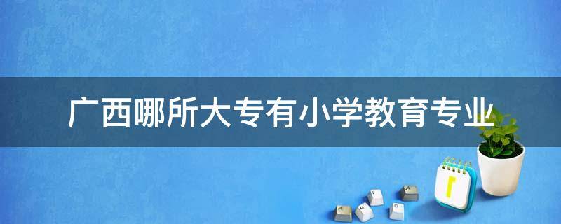 广西哪所大专有小学教育专业 广西哪个大专有小学教育专业