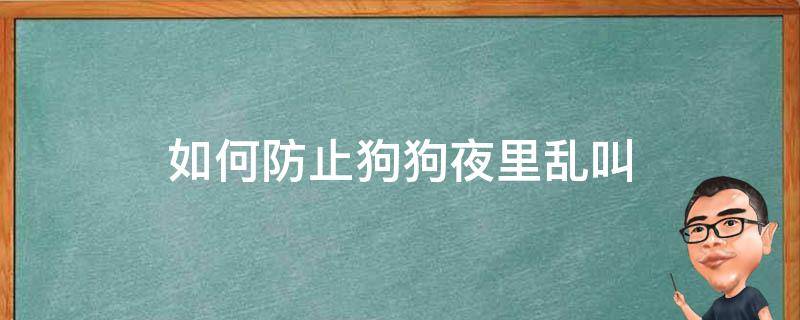 如何防止狗狗夜里乱叫 防止狗狗晚上乱叫