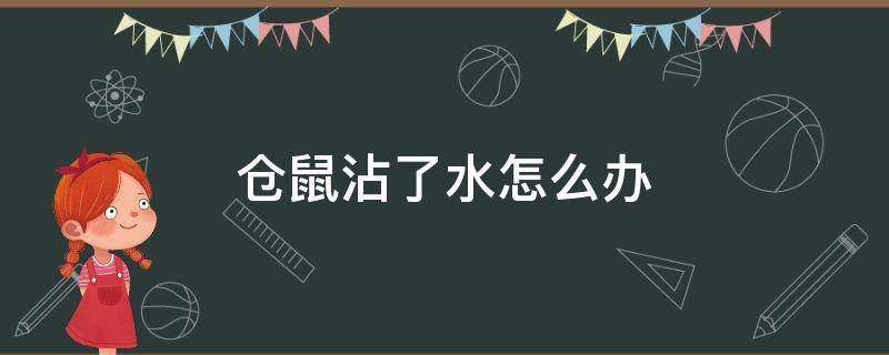 仓鼠沾了水怎么办（仓鼠沾了一点水怎么办）