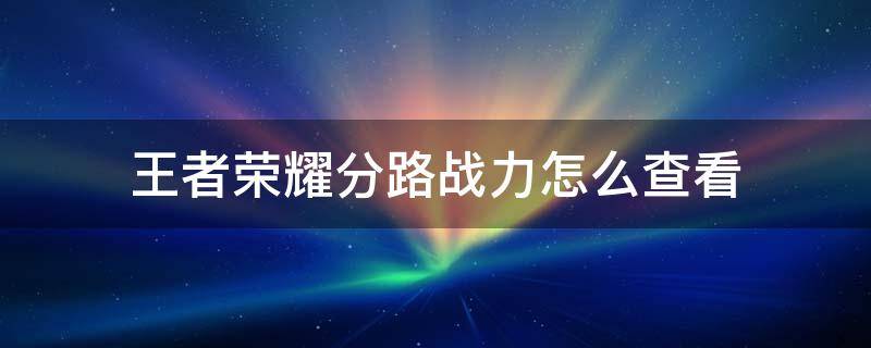 王者荣耀分路战力怎么查看 王者荣耀分路战力详情怎么看