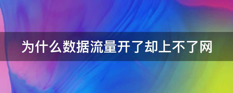 为什么数据流量开了却上不了网（为什么数据流量开了用不了）