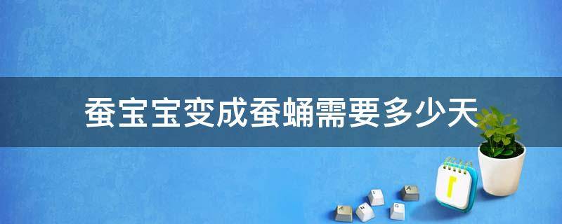 蚕宝宝变成蚕蛹需要多少天 从蚕宝宝变成蛹需要多少天