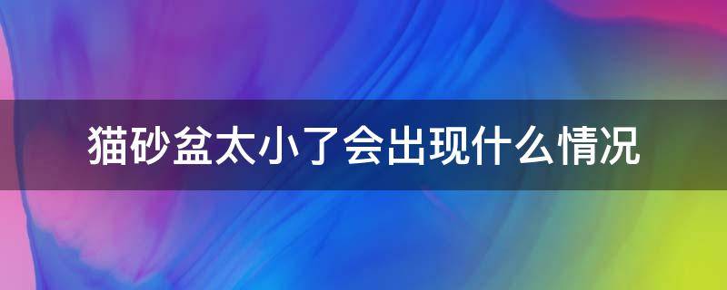 猫砂盆太小了会出现什么情况（猫砂盆小了会怎么样）