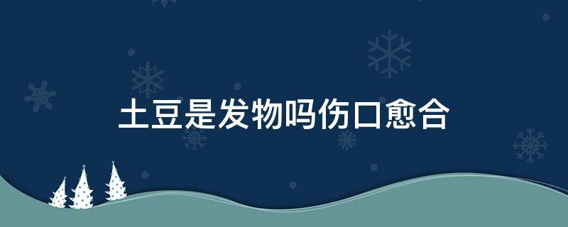 土豆是发物吗伤口愈合 土豆丝是发物吗