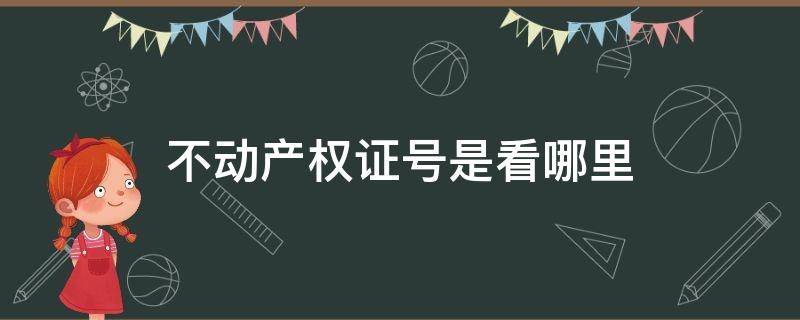 不动产权证号是看哪里 房产证的不动产权证号是看哪里