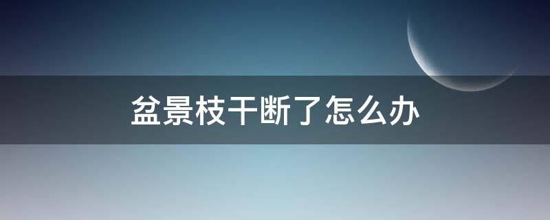 盆景枝干断了怎么办 盆景树枝断了怎么处理