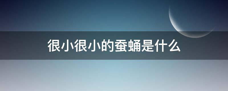 很小很小的蚕蛹是什么（蚕蛹有的大有的小）