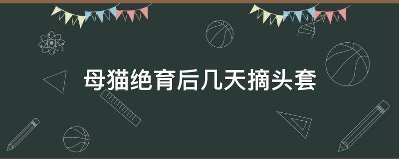 母猫绝育后几天摘头套 母公猫做绝育三天可以摘头套了吗