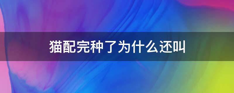 猫配完种了为什么还叫（猫配完种了为什么还叫但是跟叫猫不一样）