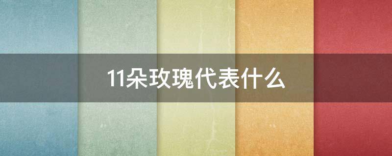 11朵玫瑰代表什么（一个男人送11朵玫瑰代表什么）