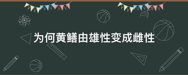 为何黄鳝由雄性变成雌性（雄黄鳝为什么会变成雌黄鳝）