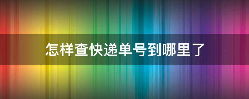 怎样查快递单号到哪里了（怎样查快递单号到哪里了中通）