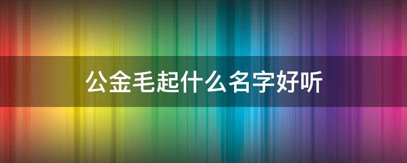 公金毛起什么名字好听 公金毛可以起什么名字