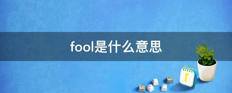 fool是什么意思（fool是什么意思翻译成中文）