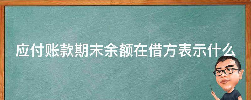 应付账款期末余额在借方表示什么（其他应付账款期末余额在借方表示什么）