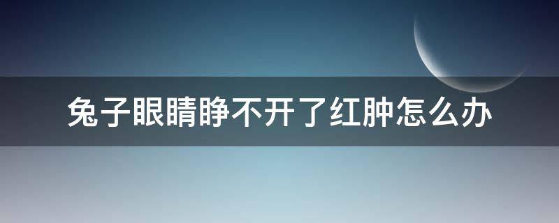 兔子眼睛睁不开了红肿怎么办（兔子眼睛红肿怎么回事）