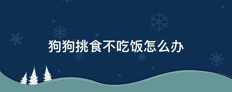 狗狗挑食不吃饭怎么办 狗挑食不吃饭了怎么办