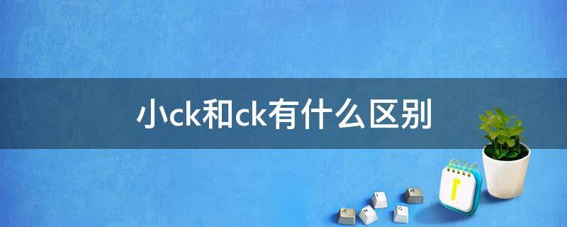 小ck和ck有什么区别（小ck和ck有什么区别吗）